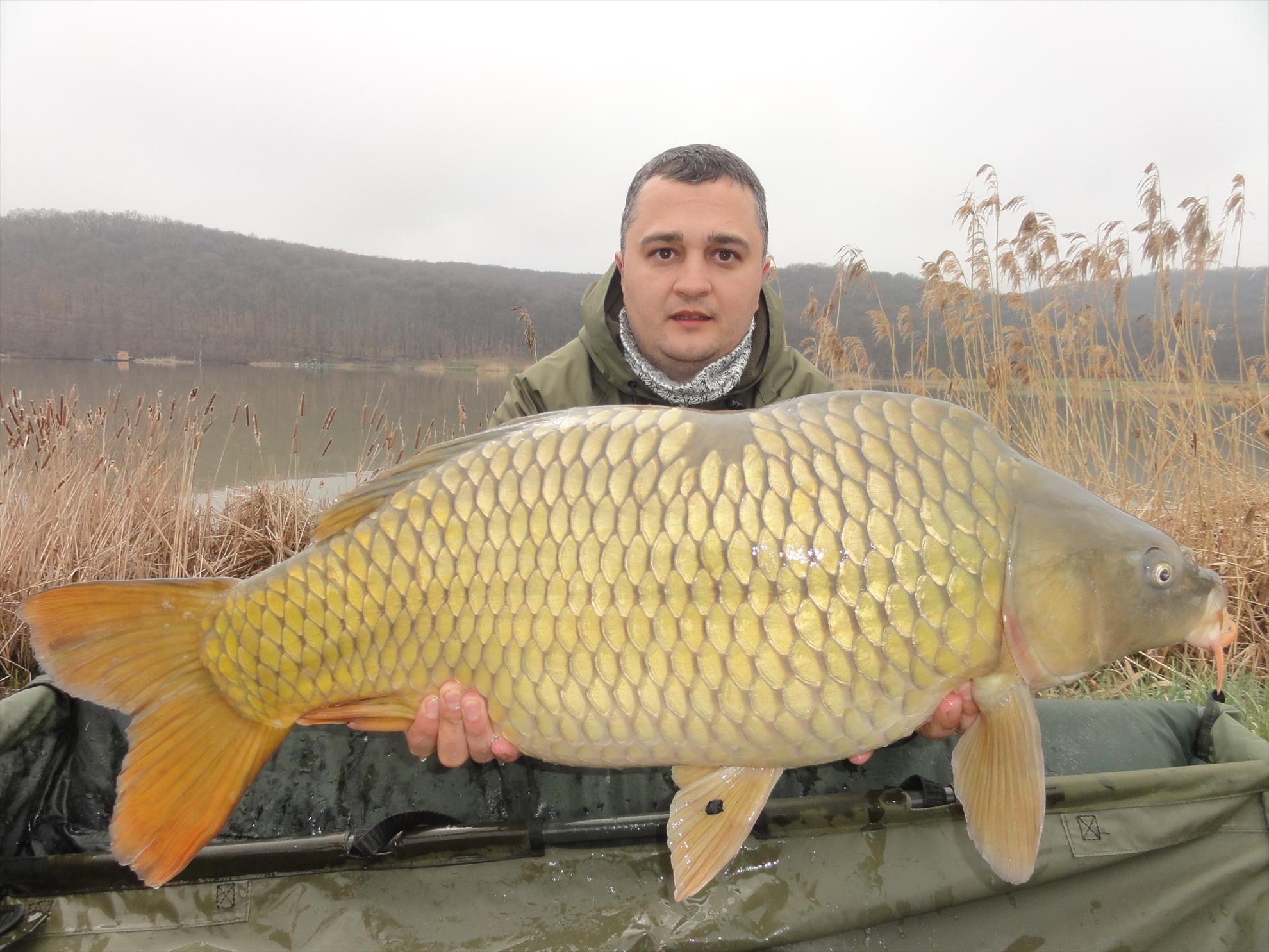 Aprilie 2013 - Harsany Aprilie 2013